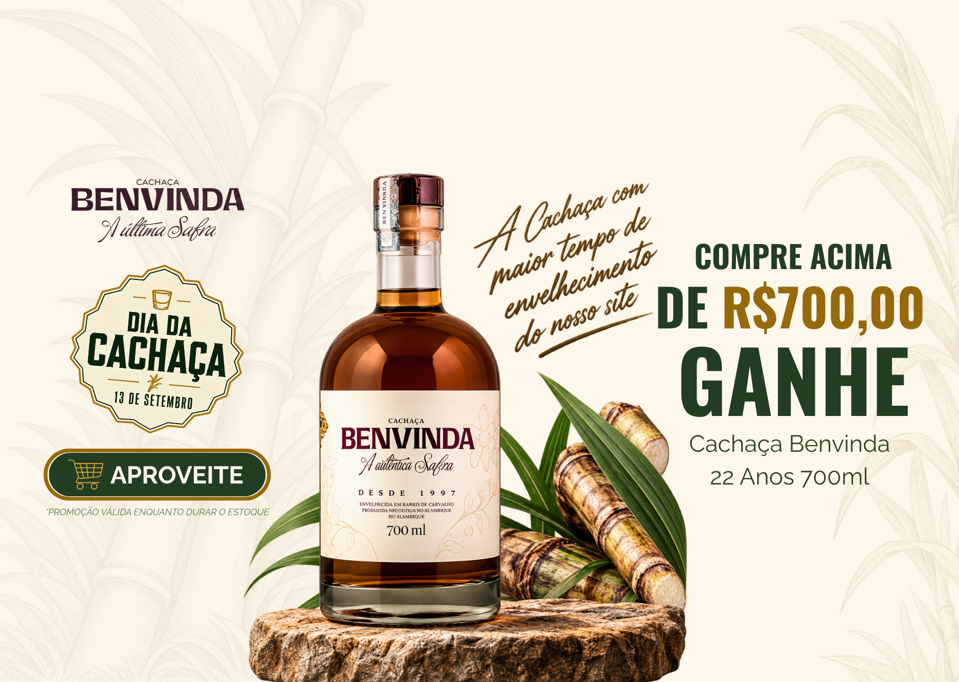 MOBILE DIA DA CACHAÇA BENVINDA